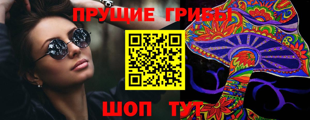 Сарапул  Галлюциногенные грибы Psilocybe  Вход с VPN 